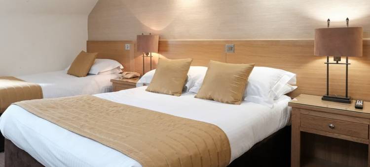 城市酒店(The City Hotel)图片