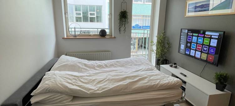 萨加公寓酒店(Saga Apartments Akureyri)图片