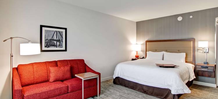 底特律特洛伊欢朋套房酒店(Hampton Inn & Suites Detroit/Troy)图片