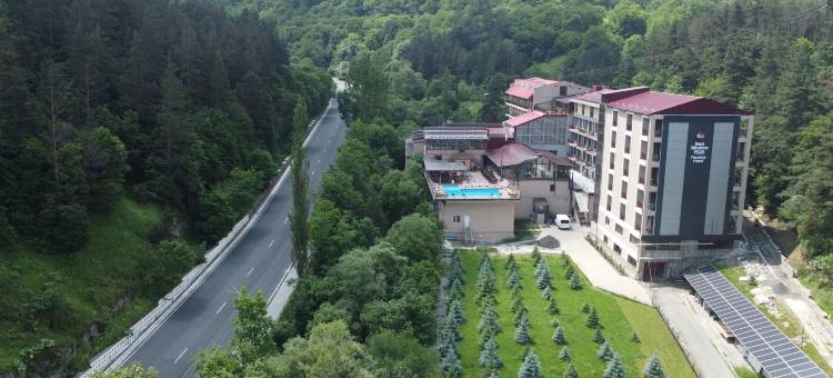 Best Western Plus Paradise Hotel Dilijan图片