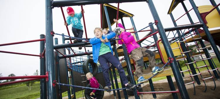 瑞潘露营酒店(Camp Ripan)图片