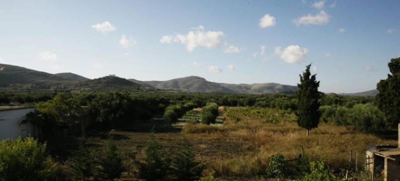 卡利奥皮酒店(Kalliopi Hotel)图片