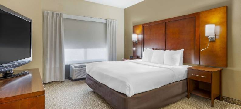 威尔逊凯-I-95富套房酒店(Comfort Suites Wilson - I - 95)图片