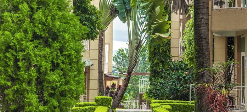 公园景观庭院酒店(Park View Courts)图片