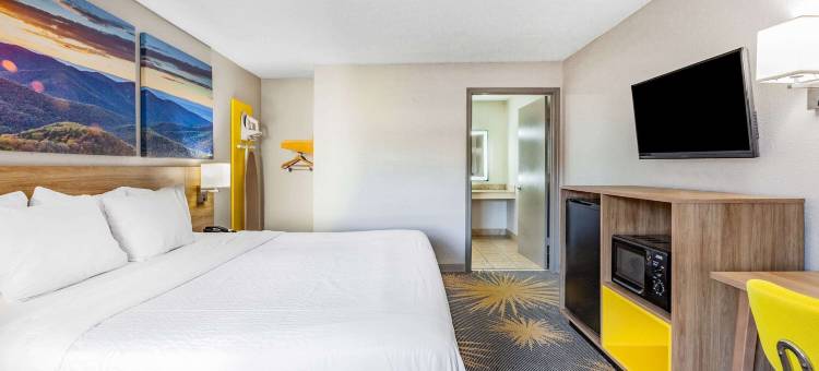 温德姆戴斯酒店 罗阿诺克/霍林斯 靠近I-81(Days Inn by Wyndham Roanoke/Hollins Near I-81)图片