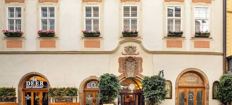 布拉格铁门套房酒店(Iron Gate Hotel & Suites Prague by Bhg)图片