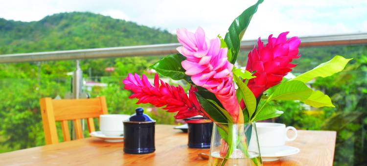 阿列克酒店(Alec's Hotel)图片