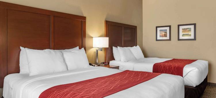 奥古斯塔舒适套房酒店(Comfort Inn & Suites Augusta)图片