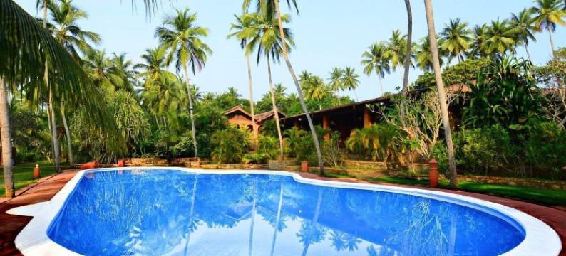 伊娃兰卡酒店(Eva Lanka Hotel - Beach & Wellness)图片