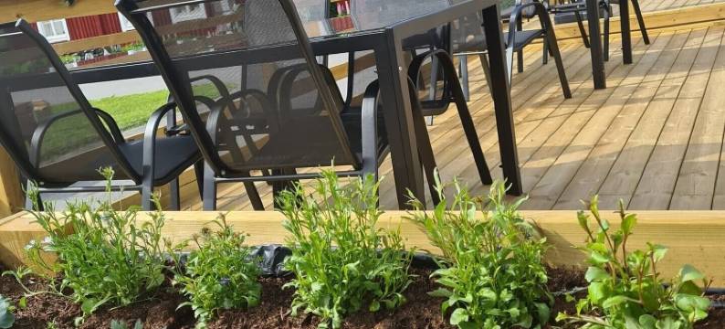 勒旺格尔花园(Lövångergården)图片