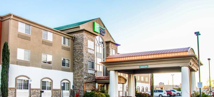 智选假日套房酒店卡尔斯巴德 by IHG(Holiday Inn Express & Suites Carlsbad by IHG)图片