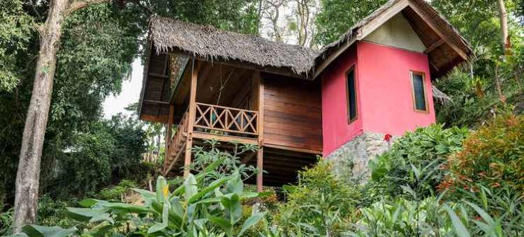 萨莎尼莫海滩水疗度假村(Casa Nemo Beach Resort & Spa)图片