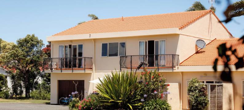 瓦努伊海滩(Ocean Beach Wainui)图片