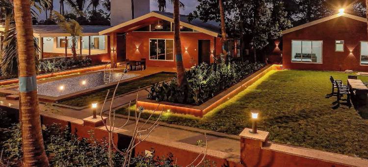 Mauli Stays 可可幸福(Coco Bliss by Mauli Stays)图片