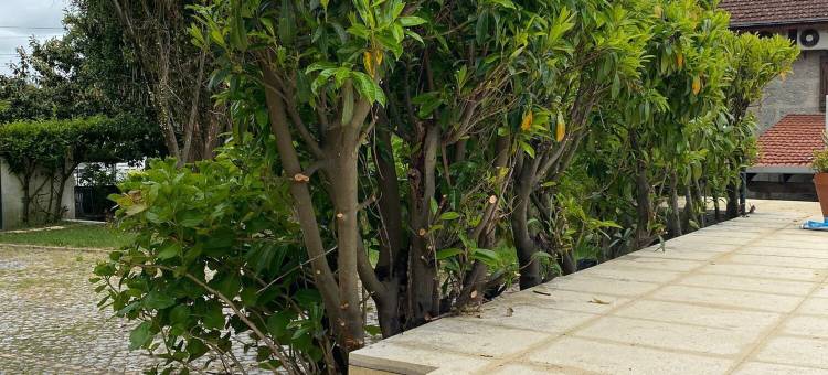 奥古斯塔之家5号(CASA AUGUSTA 5)图片