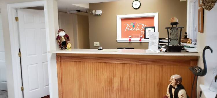 桃子树旅馆(Peach Tree Inn)图片