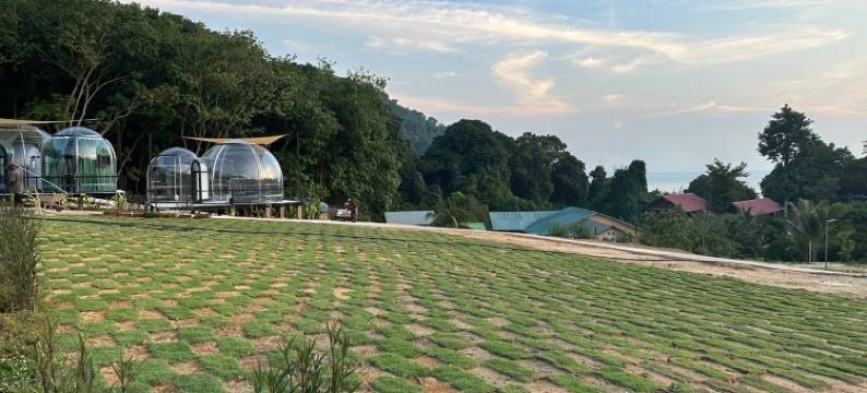 DNAMIE 豪华帐篷露营(Dnamie Glamping - Lux Tent)图片