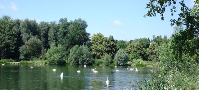城墙酒店(Hotel An der Stadtmauer)图片
