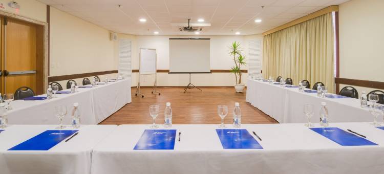 圣安德雷全套房蓝树酒店(Blue Tree Towers All Suites Santo André)图片