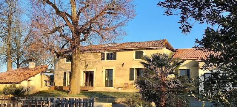 健康之家(Auberge Casa Sana)图片