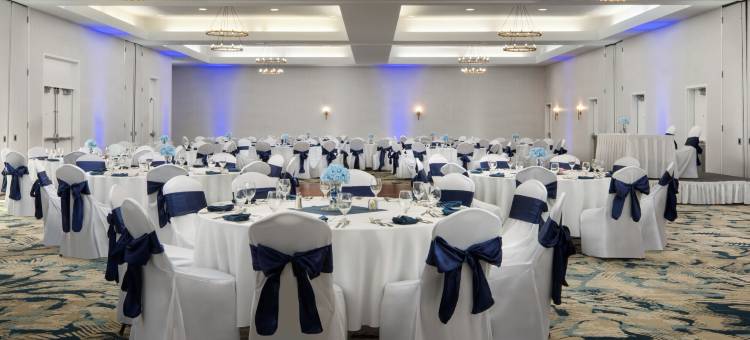 诺福克机场希尔顿逸林酒店(DoubleTree by Hilton Hotel Norfolk Airport)图片