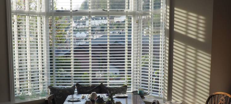 南景旅馆(South View Guest House)图片