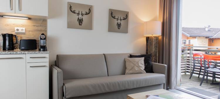 策尔湖畔阿尔卑斯租赁滑雪及高尔夫套房酒店(Ski & Golf Suites Zell am See by Alpin Rentals - Incl Summercard)图片