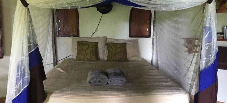 太阳村舍生态小屋旅馆(Finca del Sol Eco Lodge)图片