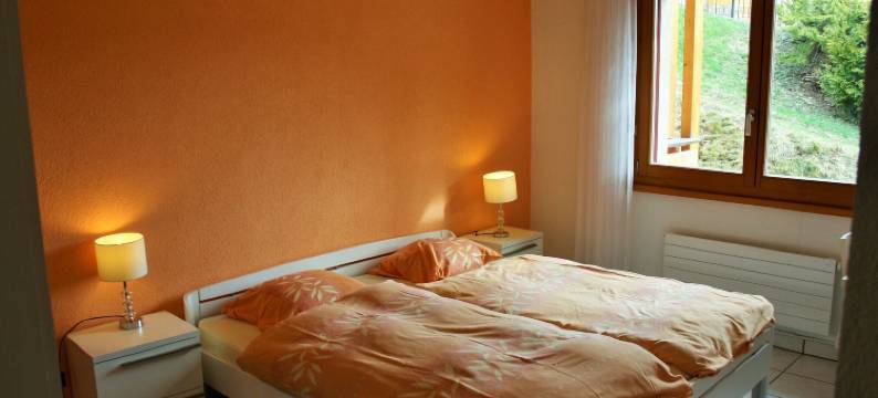 莱森派克卡斯特住宅酒店(Résidence Castel Club Leysin Parc)图片