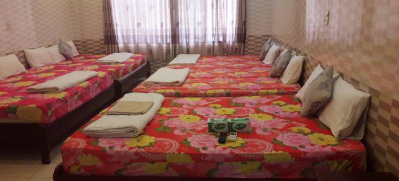 芳草家庭旅馆(Bao Chau Hostel)图片