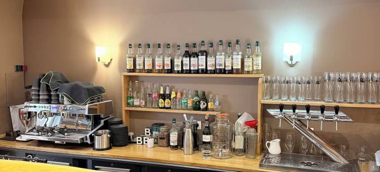 阿尔卑斯酒店(Hotel des Alpes)图片