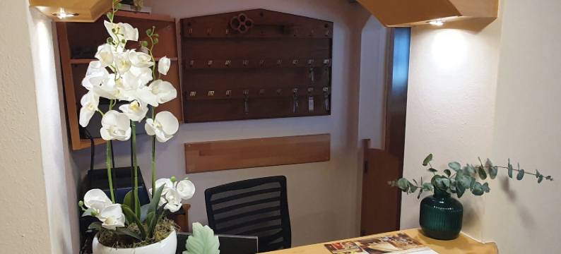 德莱莉莲酒店(Hotel Drei Lilien)图片