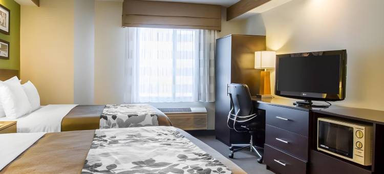 伊克诺旅馆-阿马里洛东(Econo Lodge Amarillo East)图片