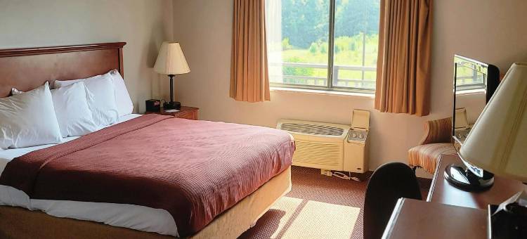 University Inn图片