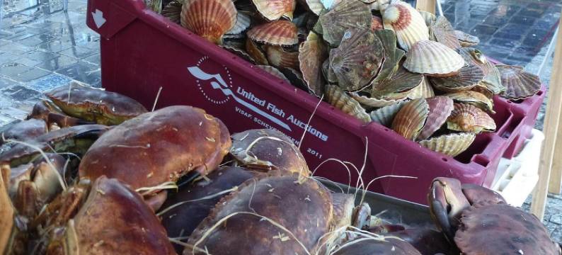 Apartment in St Quay near Seven Beaches图片