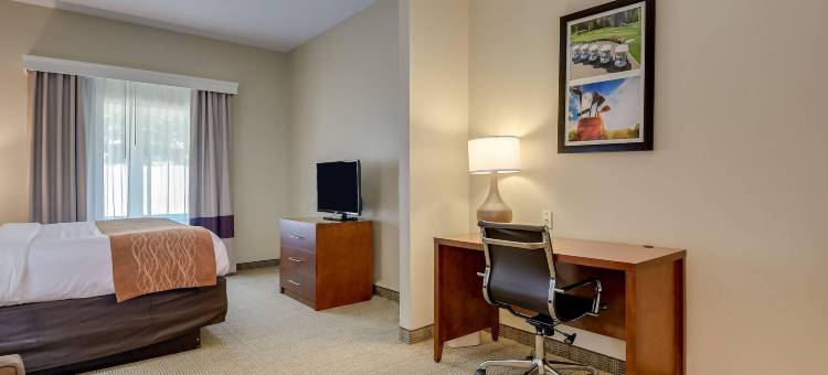 奥古斯塔艾森豪威尔高速公路舒适套房酒店(Comfort Inn & Suites Augusta Fort Eisenhower Area)图片