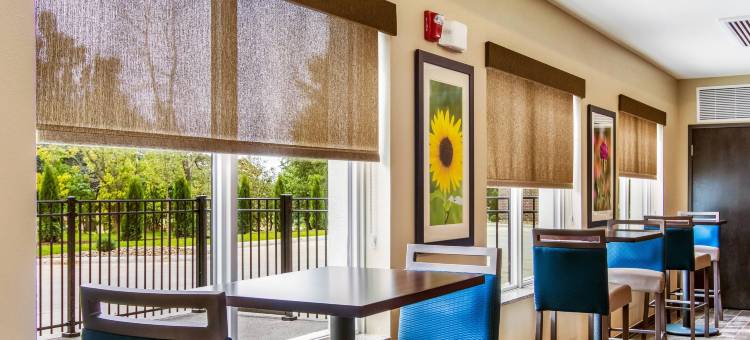 大学校园附近的伍斯特舒适套房酒店(Comfort Suites Wooster Near University Campus)图片