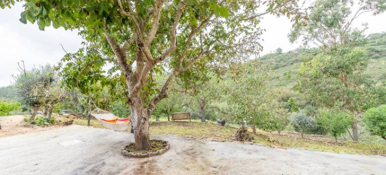 Paraíso rural em Bucelas图片