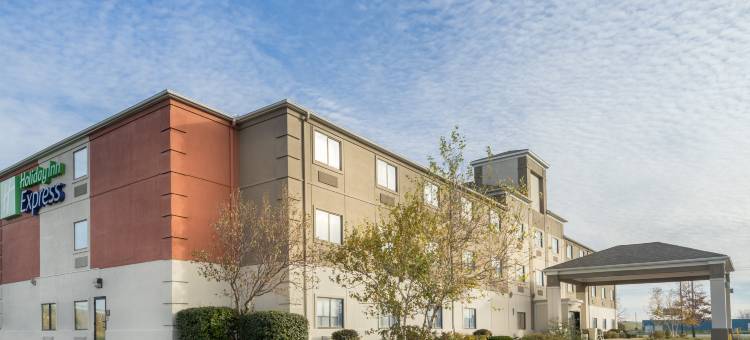 Holiday Inn Express 豪(斯特吉斯，MI)(Holiday Inn Express HOWE (STURGIS, MI) by IHG)图片