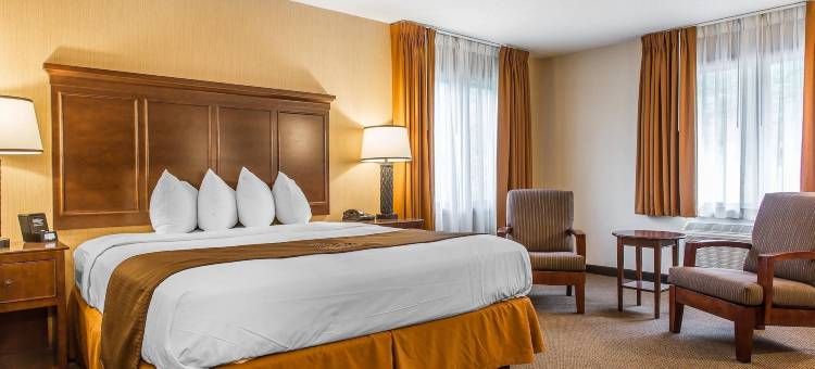 黑天鹅旅馆-雷诺克斯-阿桑德连锁酒店(The Black Swan Lee - Lenox, Ascend Hotel Collection)图片