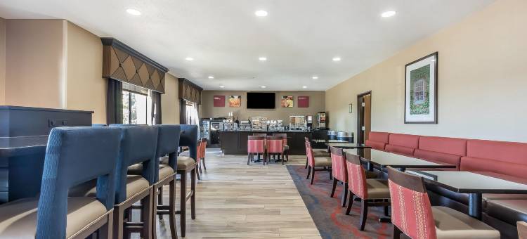 圣查尔斯舒适套房酒店-圣路易斯(Comfort Suites St Charles-St Louis)图片