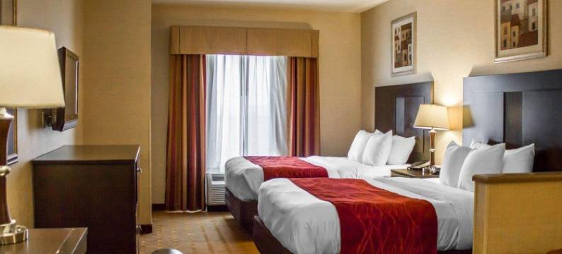 舒适套房酒店(Comfort Suites Edinboro)图片