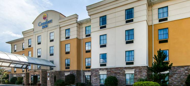 雅典舒适酒店(Comfort Inn Athens I - 75)图片