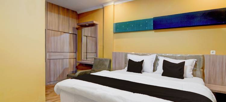 Collection O 94762 星光(Collection O 94762 Starlight)图片