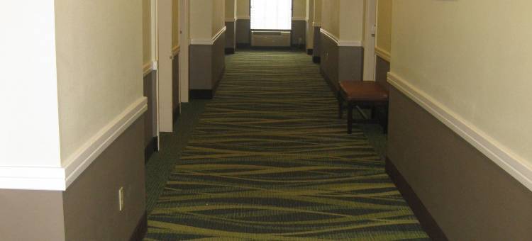 斯普林菲尔德机场贝斯特韦斯特优质酒店(Best Western Plus Springfield Airport Inn)图片