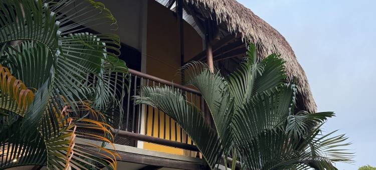 埃尔博希奥旅馆(Hostal El Bohío)图片