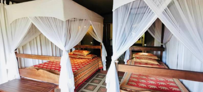 马赛马拉无花果树露营地酒店(Fig Tree Camp - Maasai Mara)图片