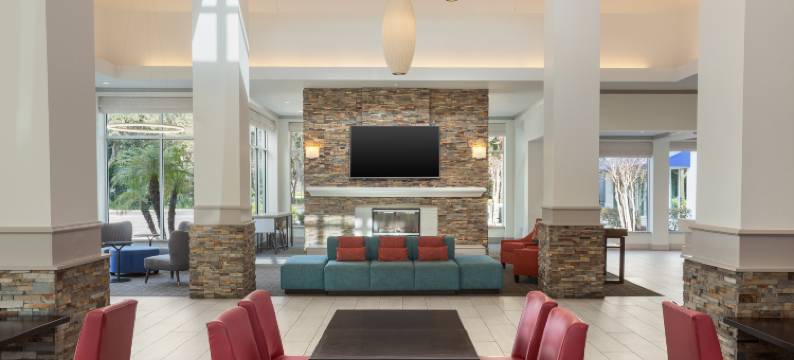 坦帕北希尔顿花园酒店(Hilton Garden Inn Tampa North)图片