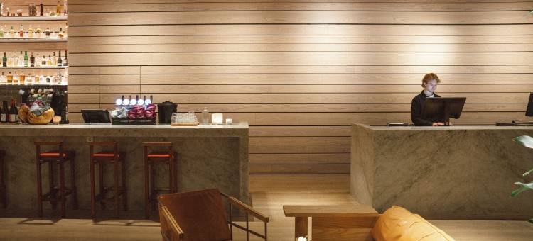 北欧之光酒店(Nordic Light Hotel)图片