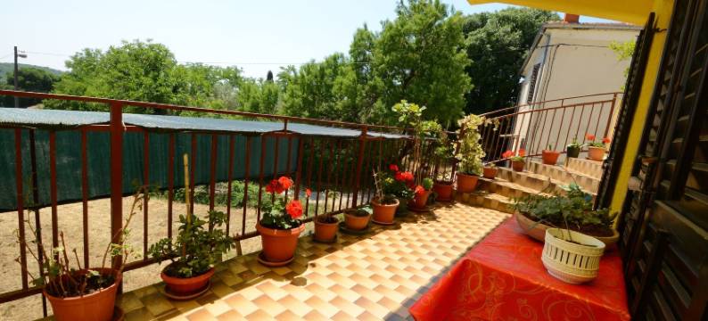 托姆茨客房(Rooms Tomc)图片